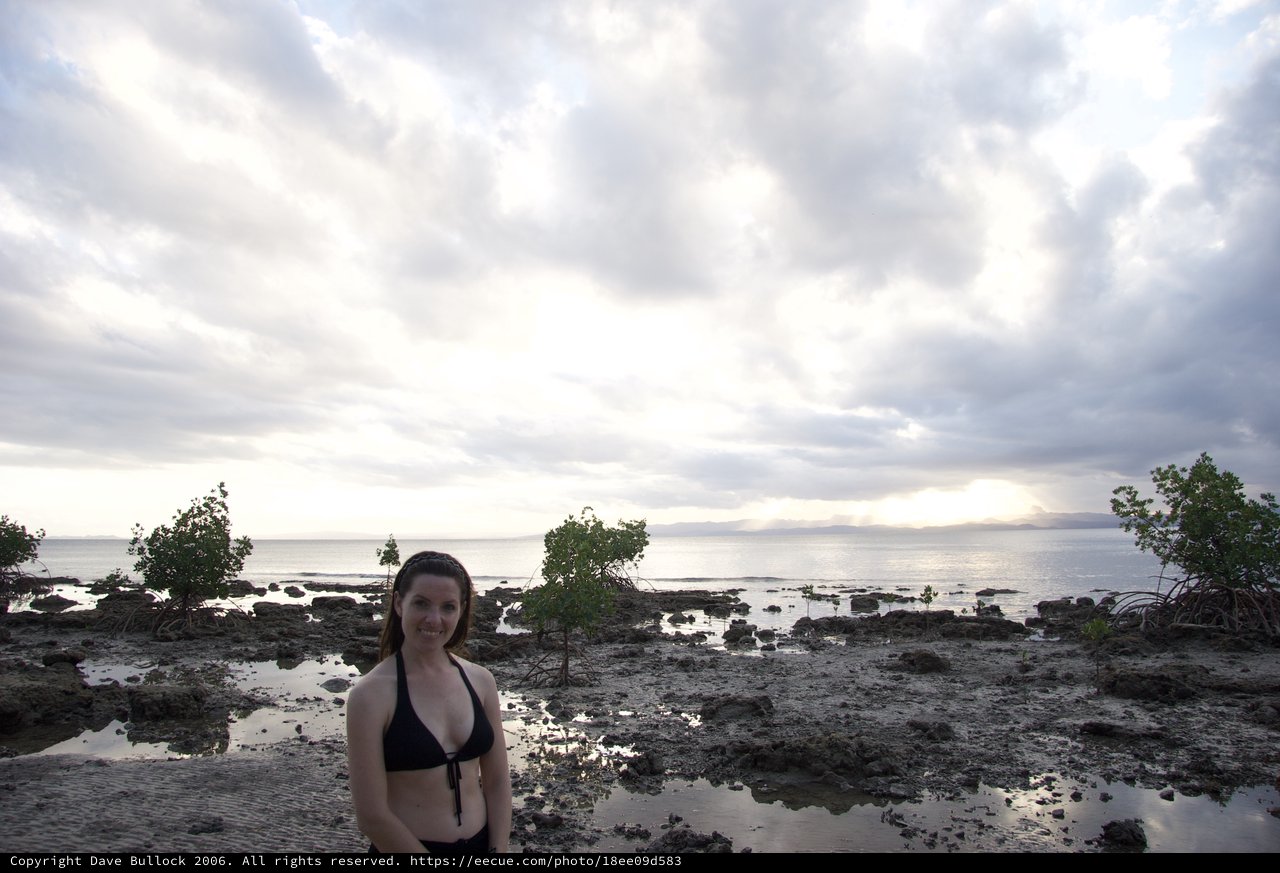 Woman Smiling at Low Tide Mangrove Coastline Fiji