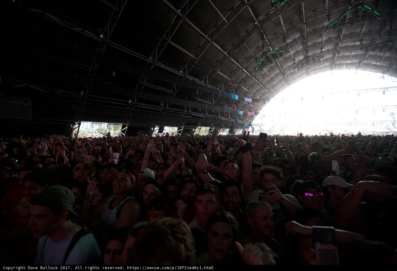 Party in the Crowd