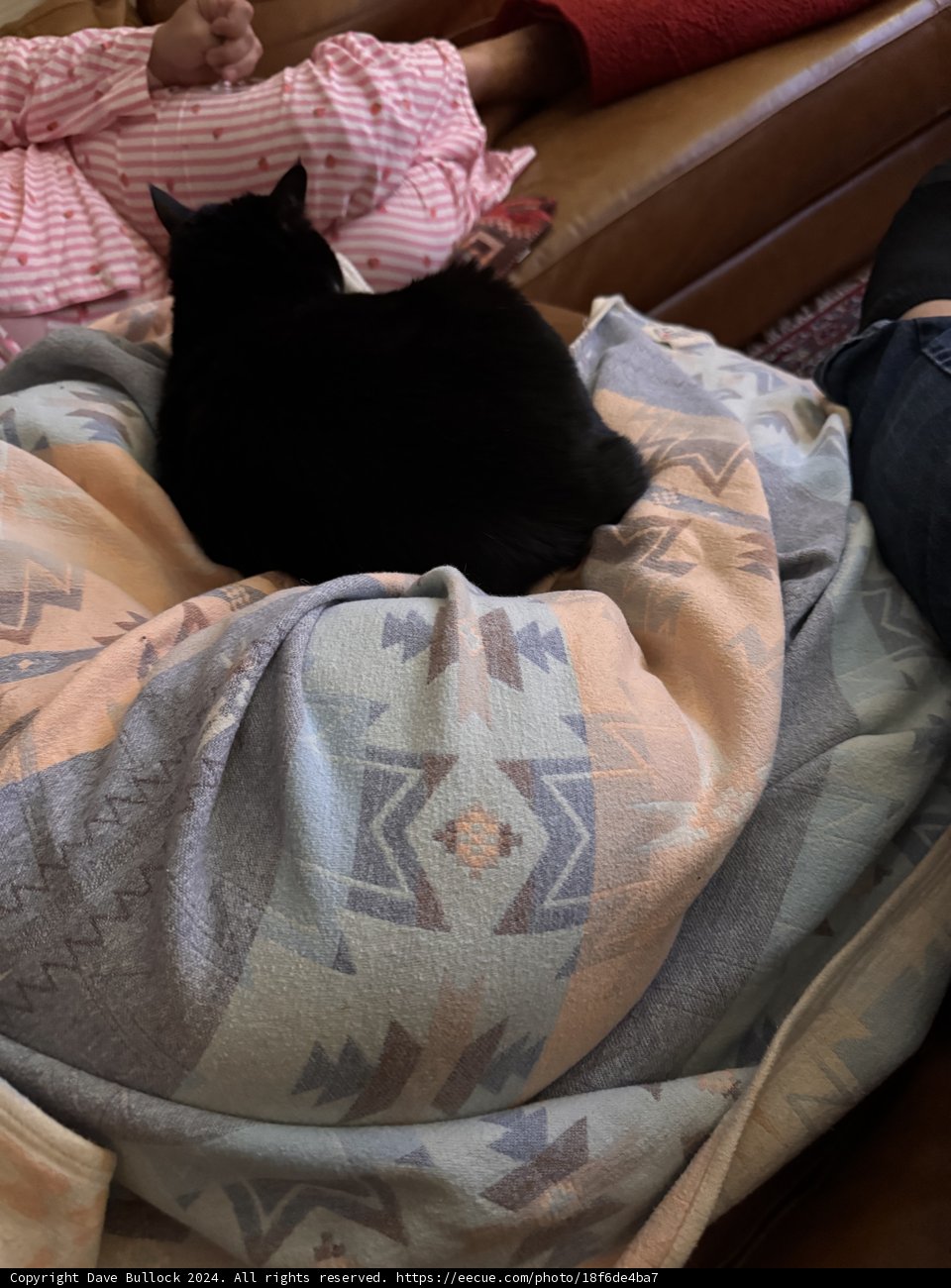 Cozy Cuddles on a Lazy June Evening