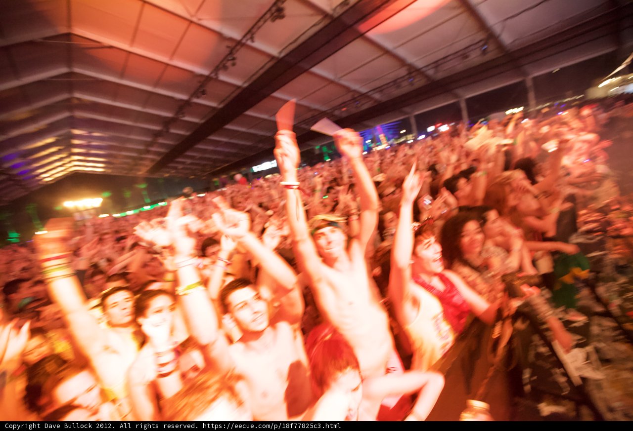 Urban Crowd at Coachella Concert