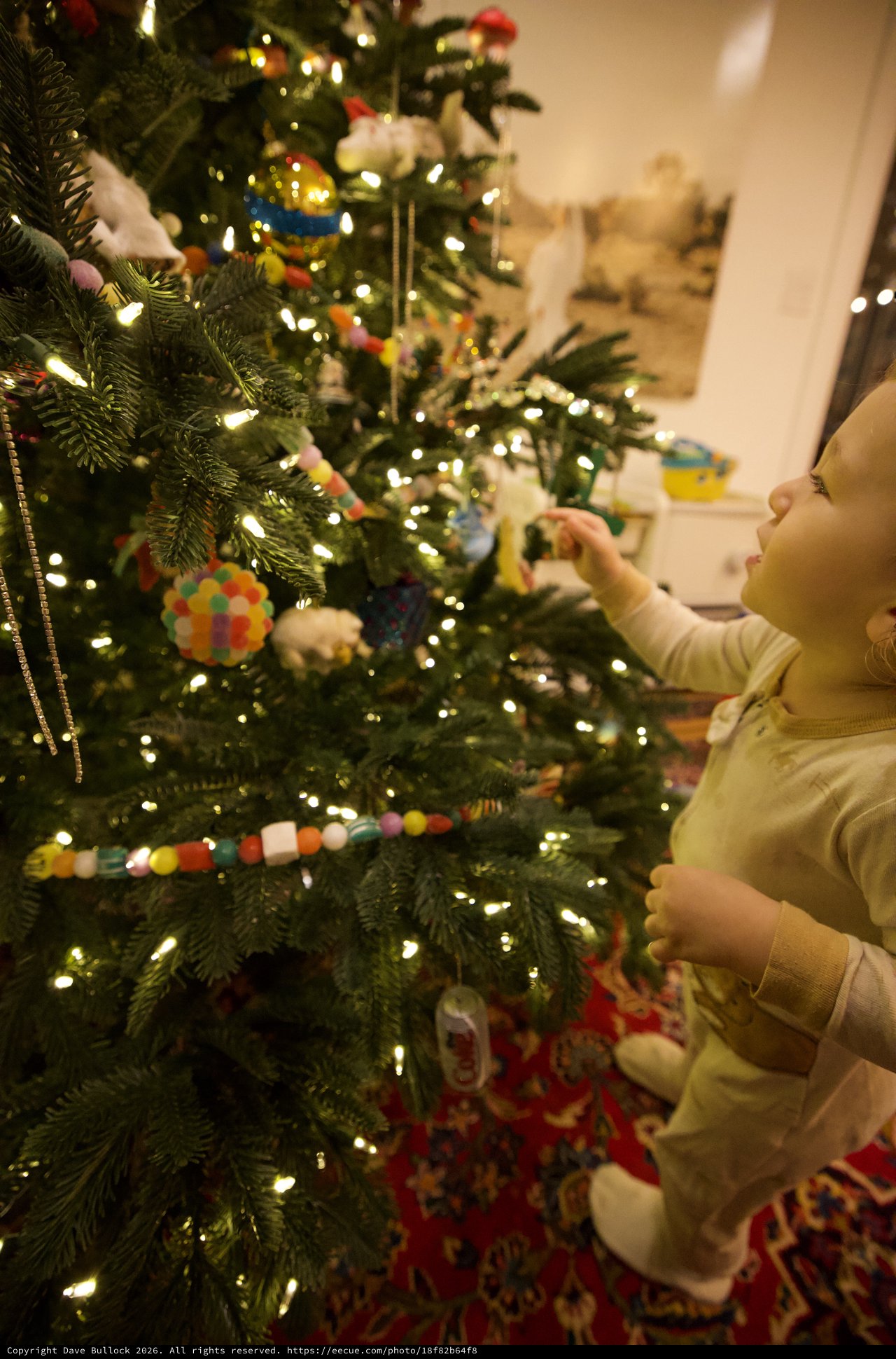 Toddler's Wonder at Christmas Tree Decorations
