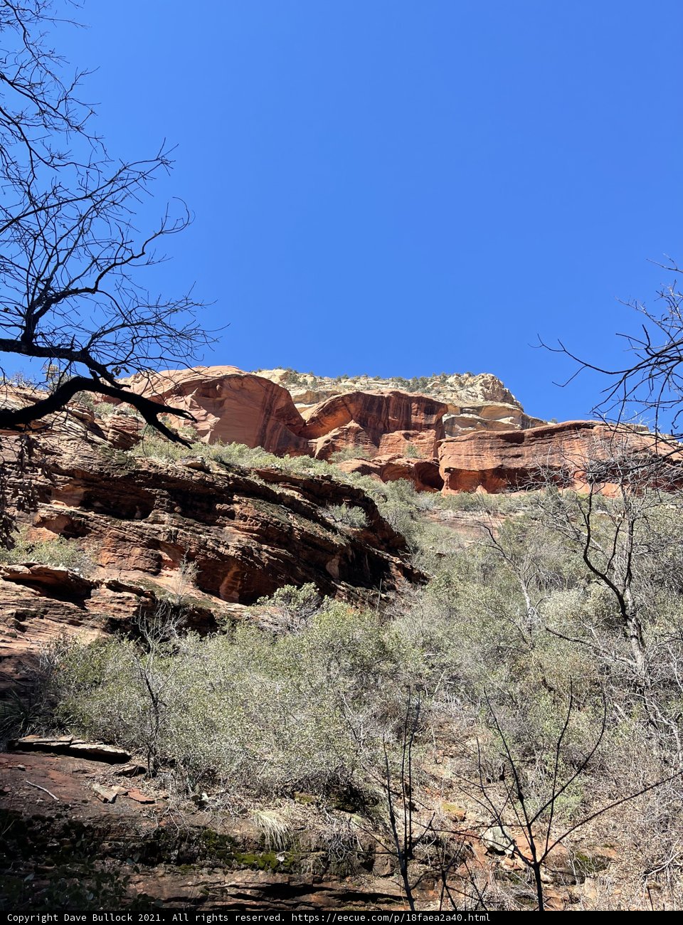 Red Rock Formation Amidst Arizona Wilderness