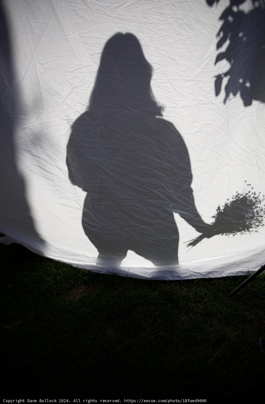 Shadow of Anticipation