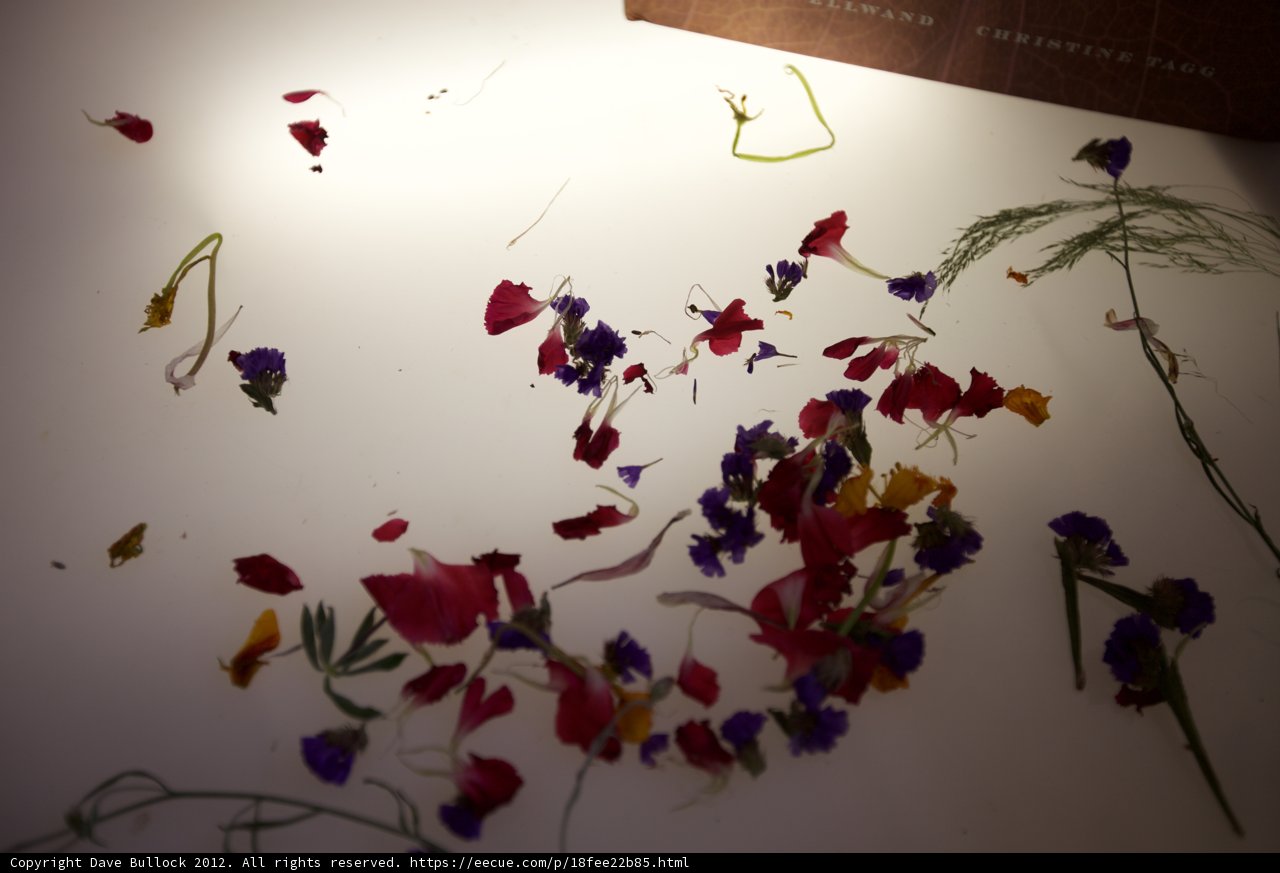 Floral Artistry on a Table