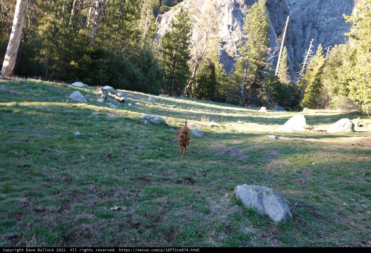 Running Through the Yosemite Wilderness