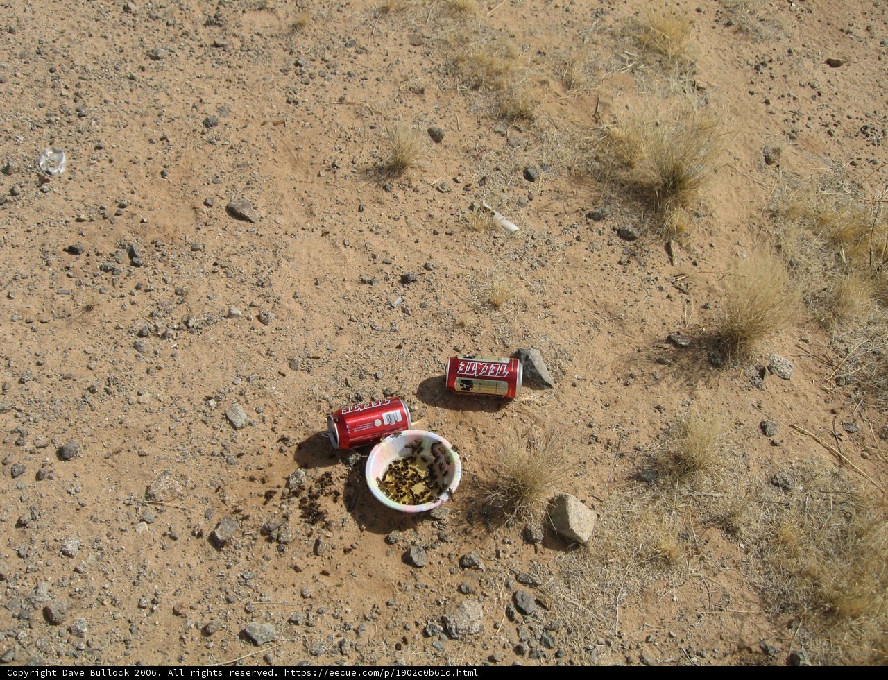 Abandoned Soda on the Ground