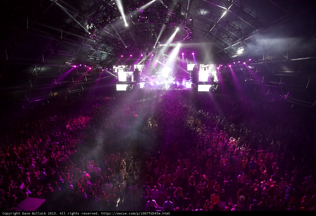 Lights, Crowd, Action!