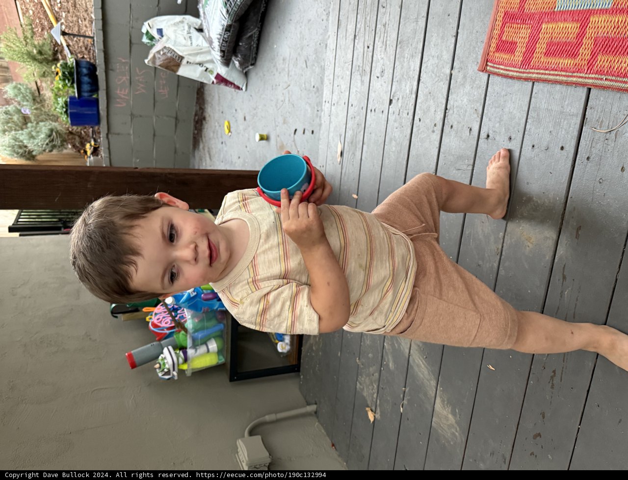 Wesley's Playful Afternoon