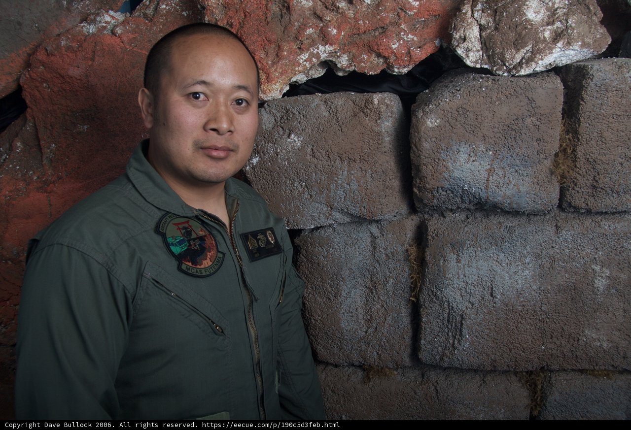 Military Man Standing by a Brick Wall