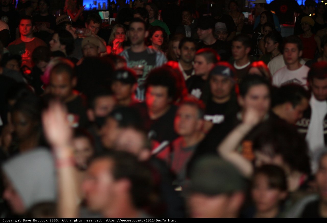 One in the Crowd