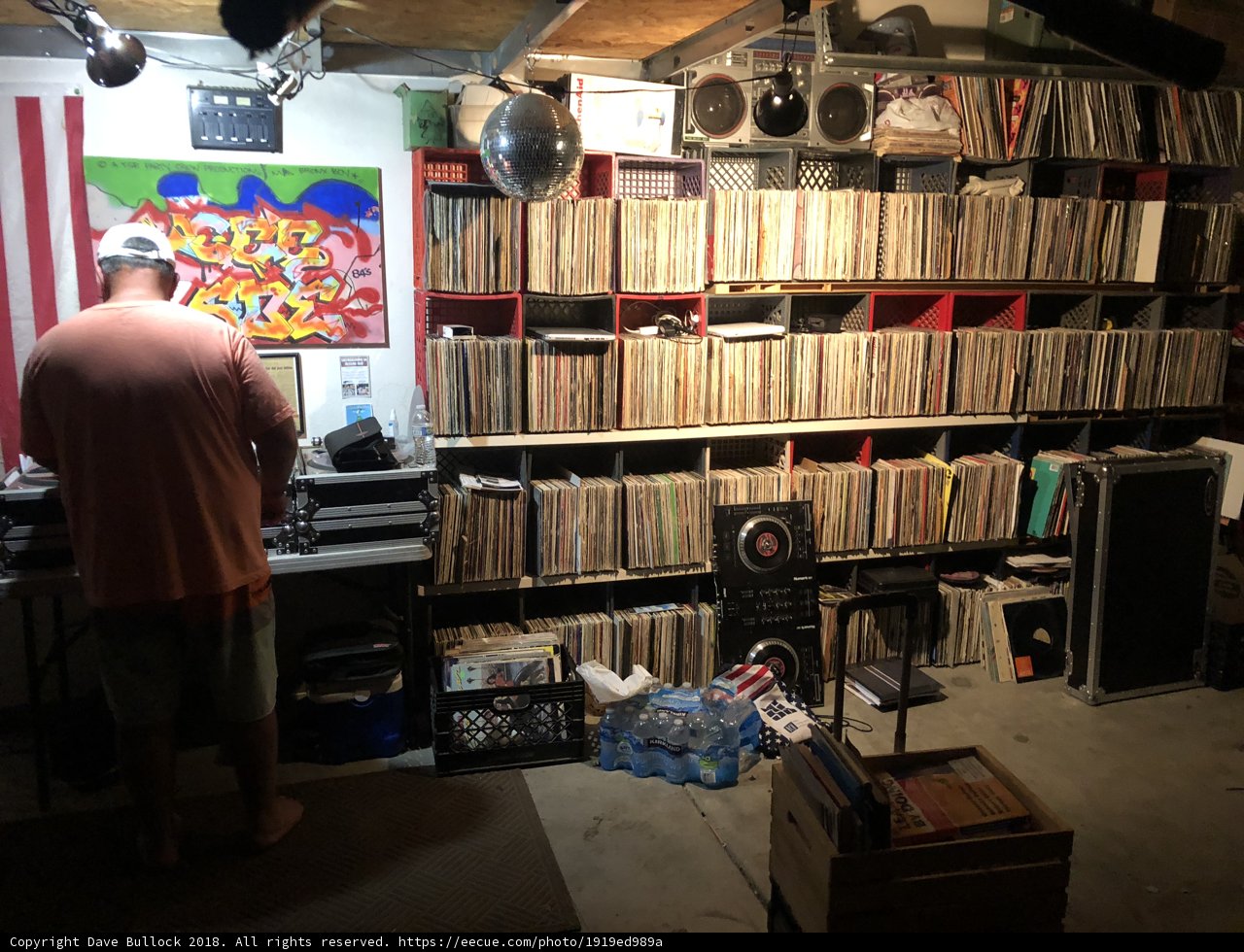 The Vinyl Archivist