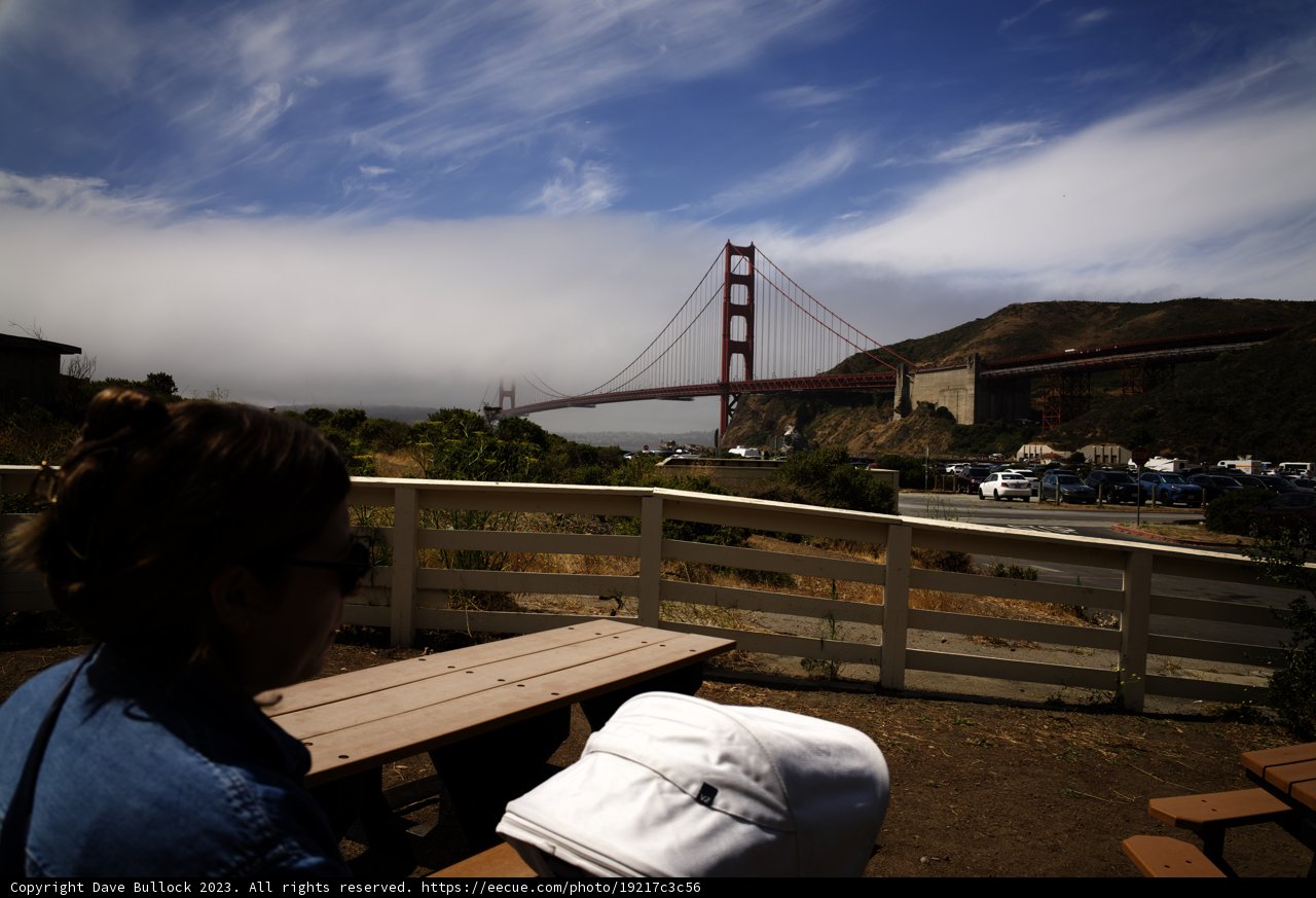 Serene Afternoons - A Moment in the Bay Area