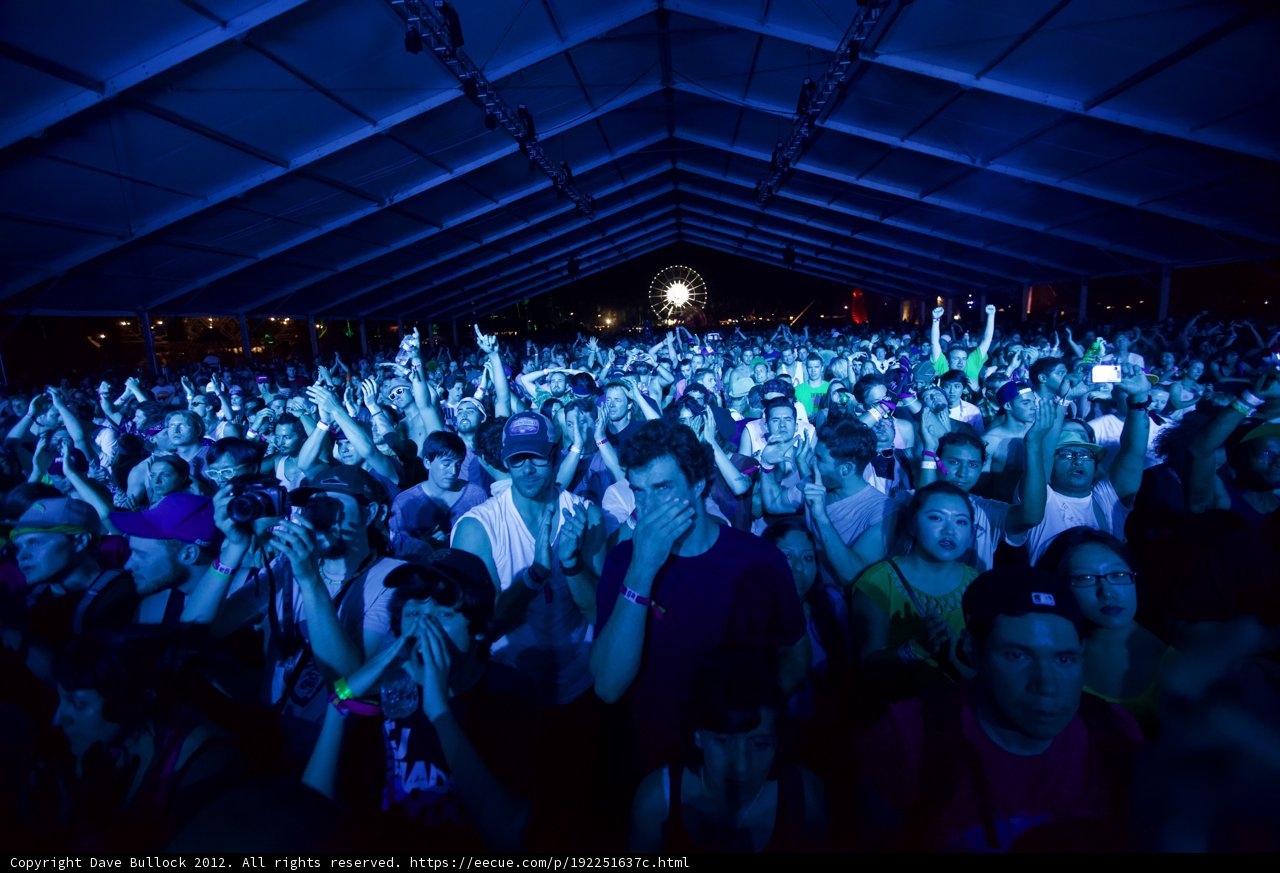 Nighttime Fun at Coachella Concert
