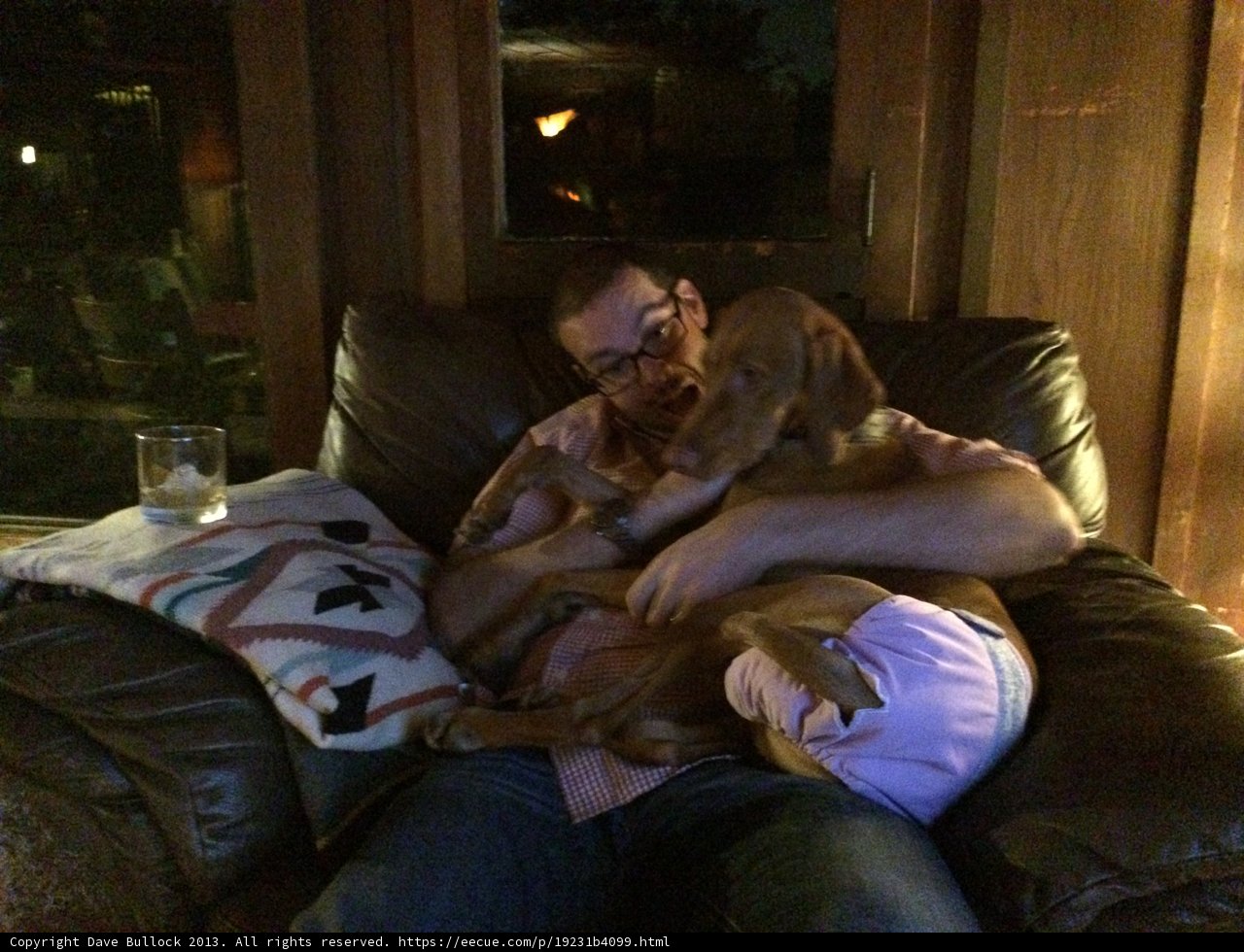 Comfortable Living Room Companion
