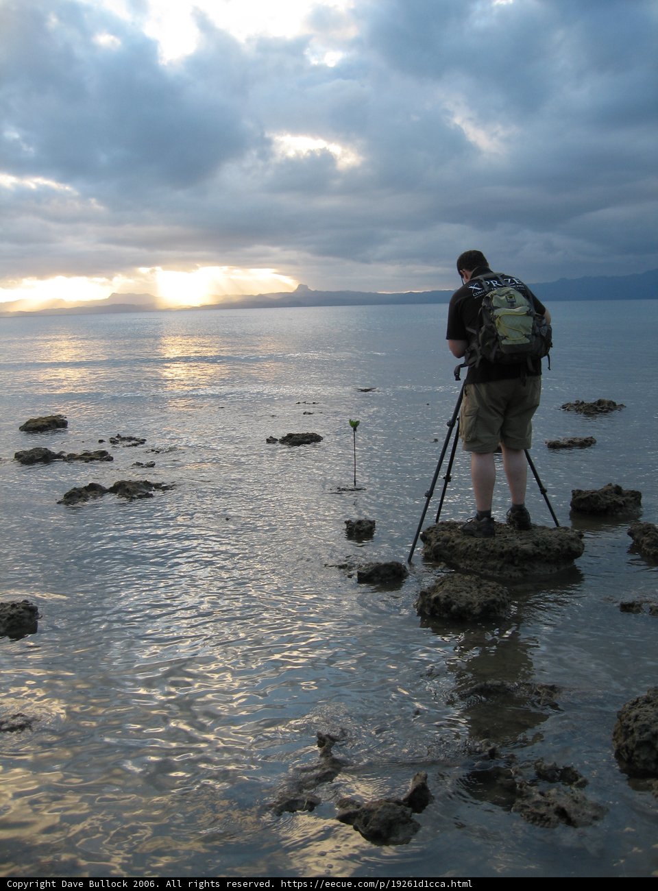 Capturing Nature's Beauty