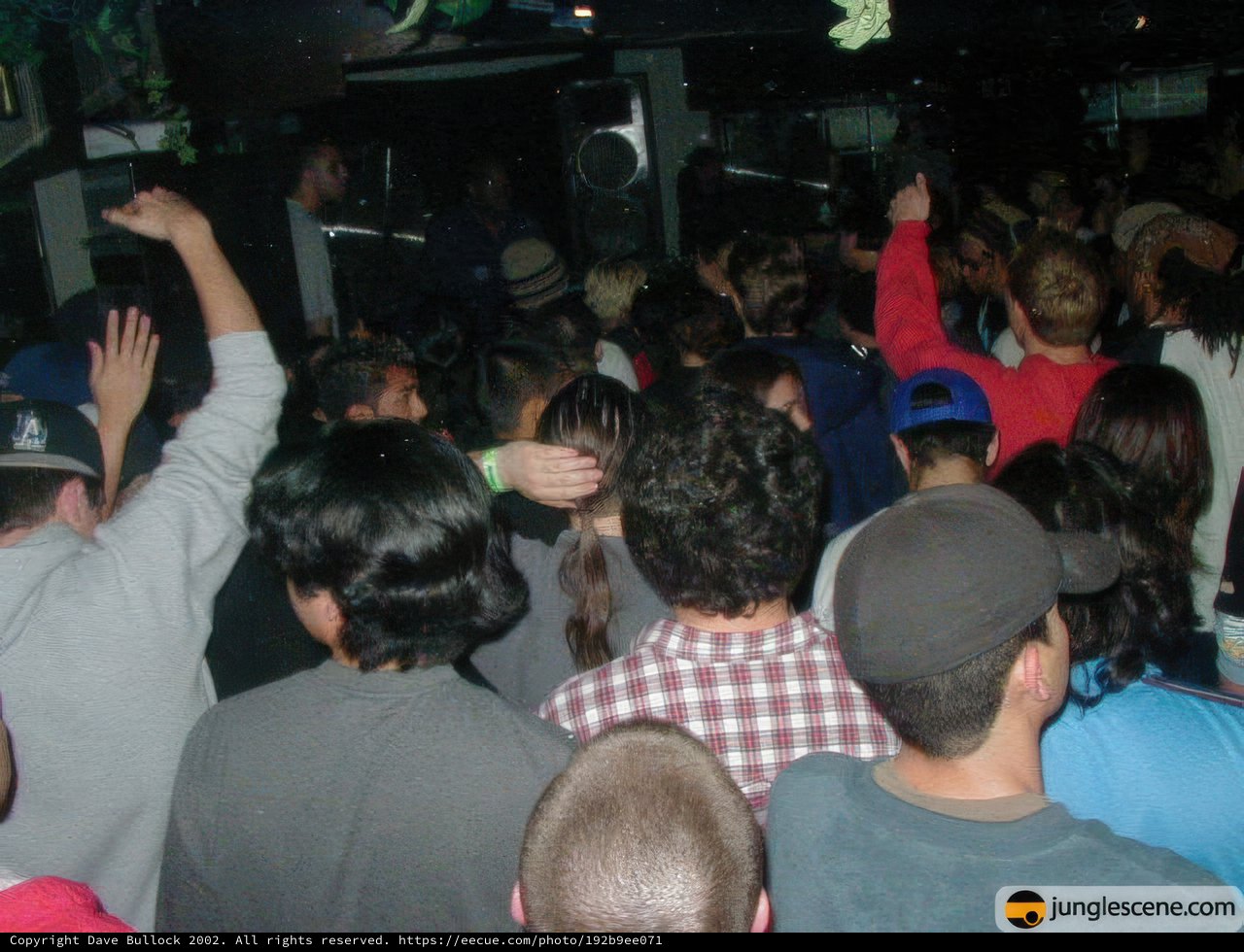 Nightclub Party Crowd