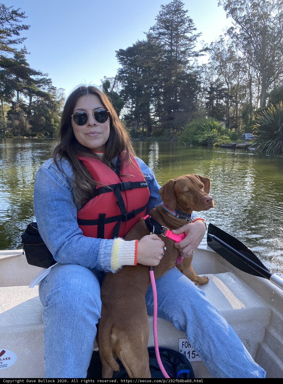 Lake Adventure with My Furry Companion
