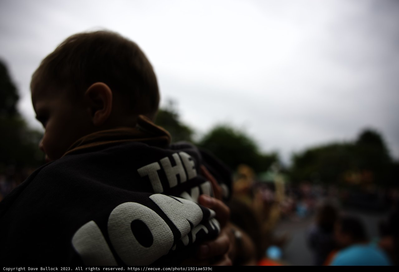 Magical Moments at Disneyland