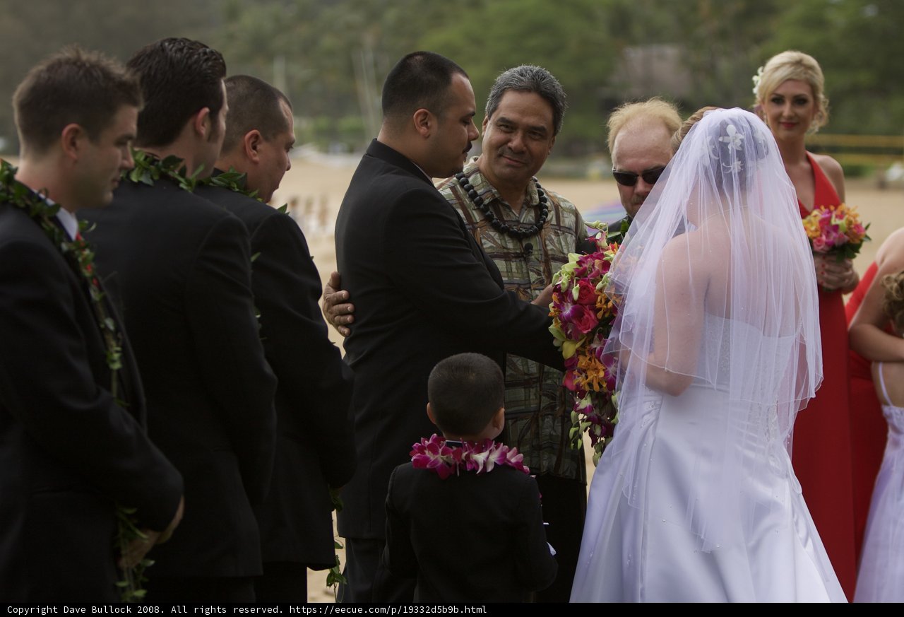 Wedding Bliss in Hawaii