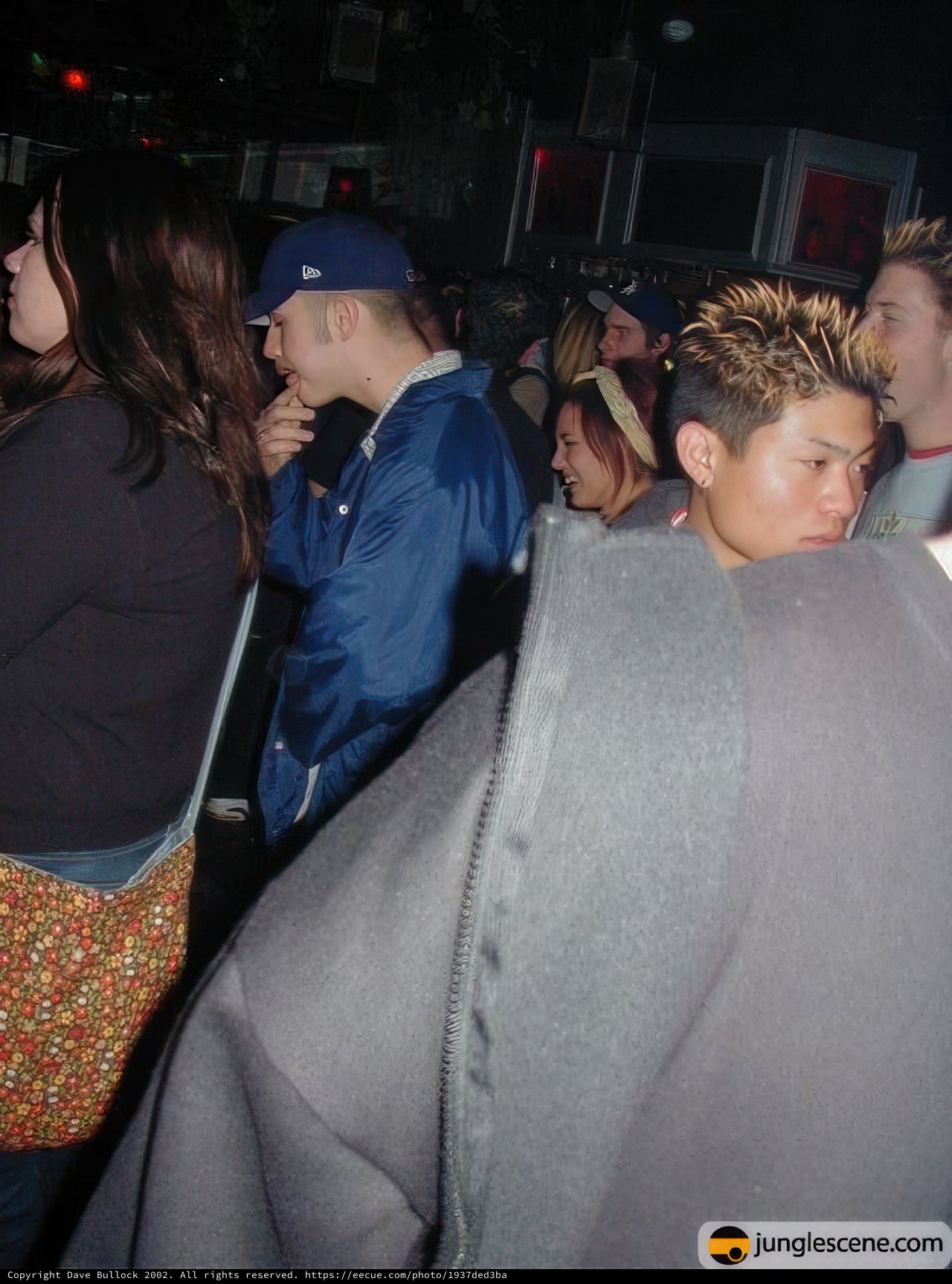 Nightclub Crowd