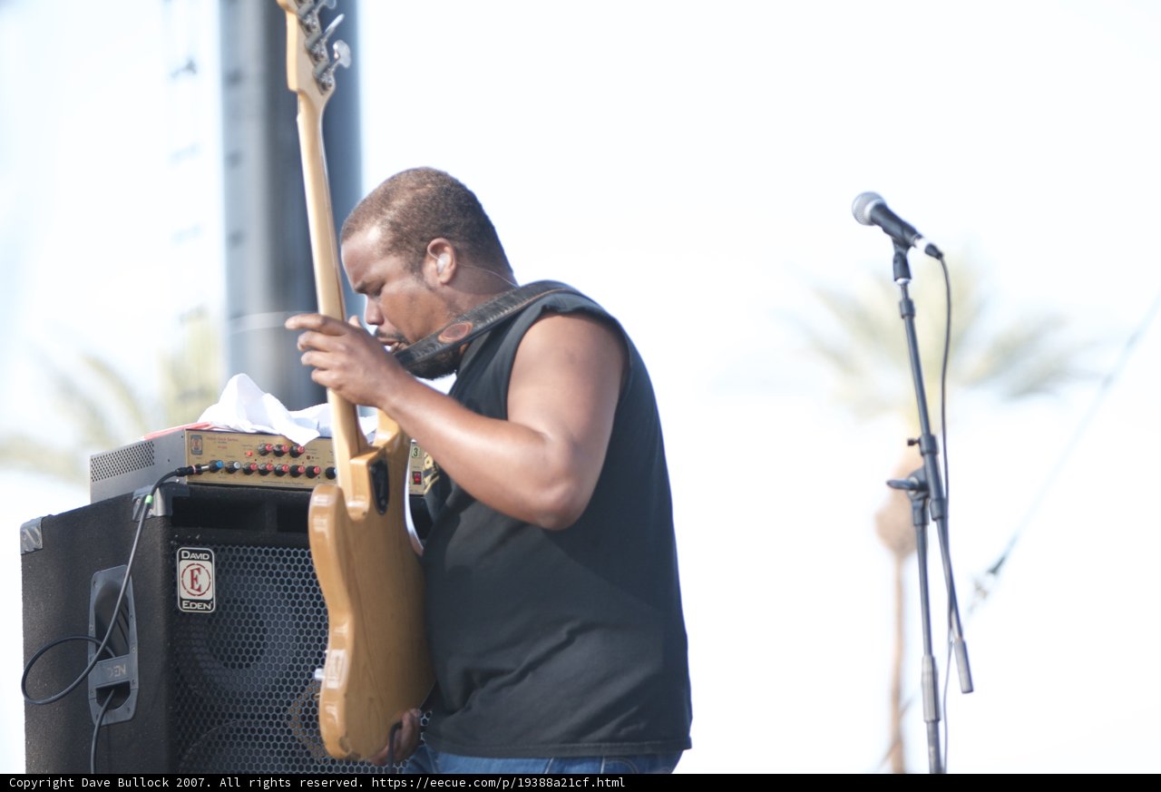 Melodic Strums