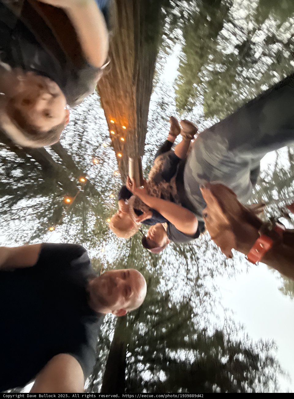 Gathering in the Woods