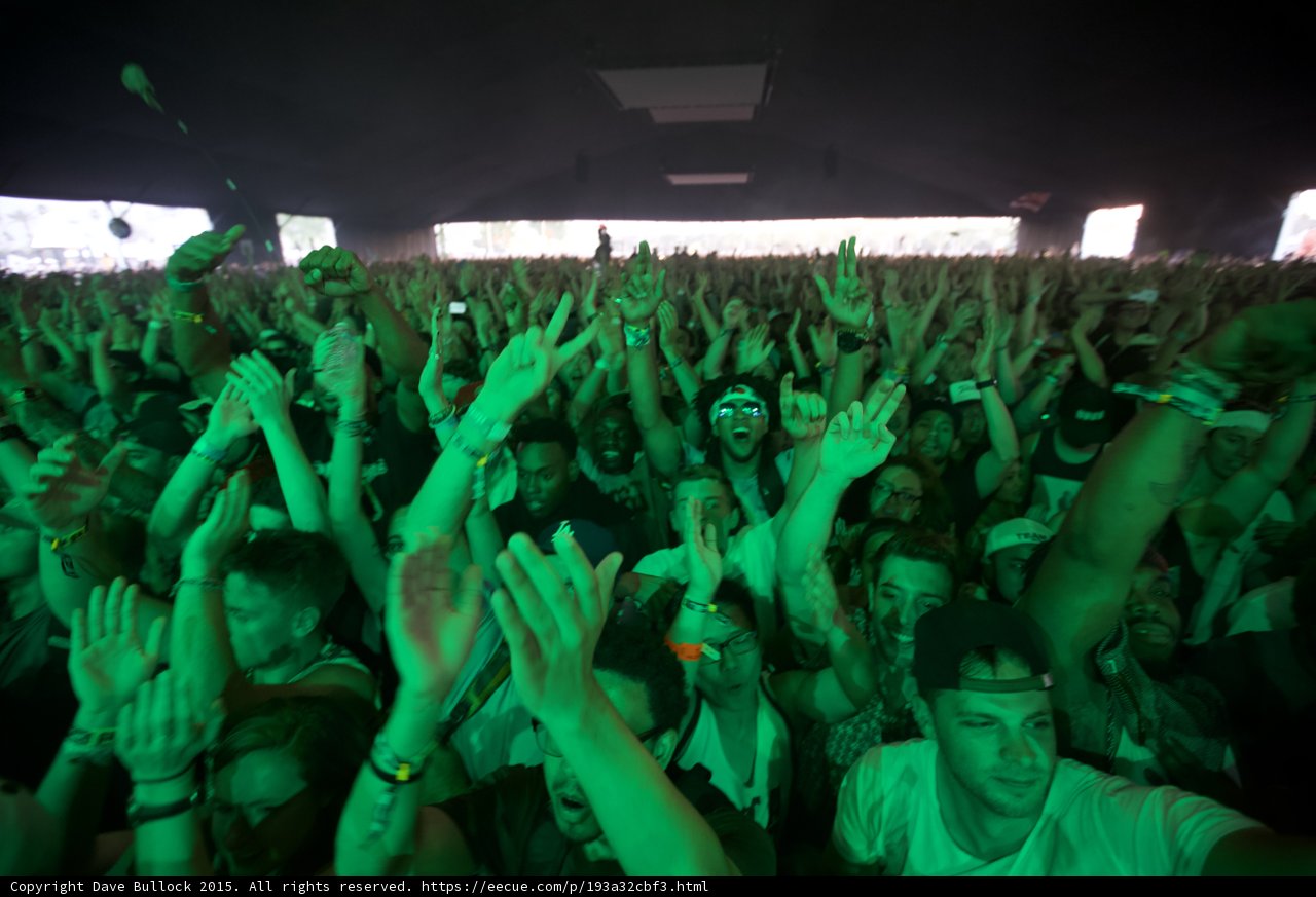Green Crowd Wide