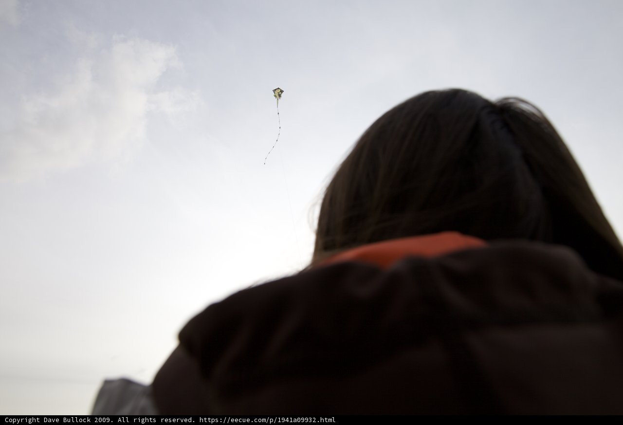 Sky-high Fun