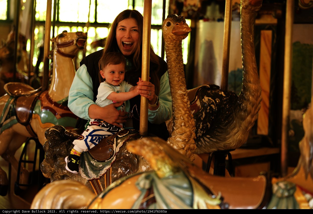 Carousel Bliss at SF Zoo