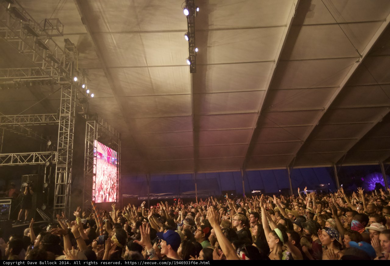 Electric Crowd at Coachella