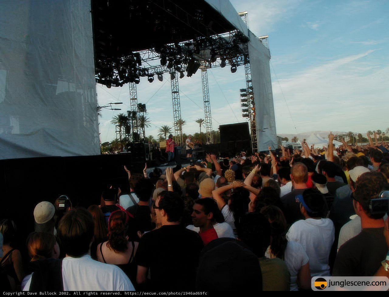 Hands Up in the Crowd at Coachella 2002