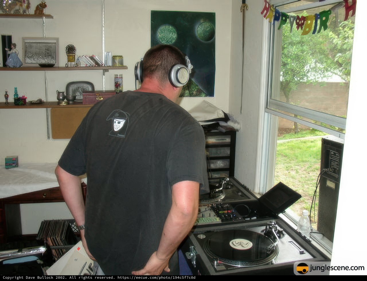 The DJ in Action