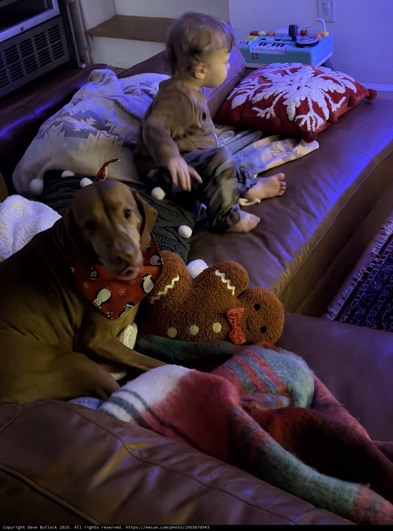 Children and Dog Relaxing During Evening Movie Time