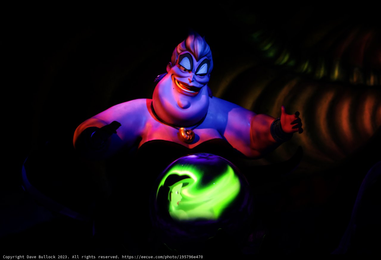 Mysterious Glow in the Magic Kingdom
