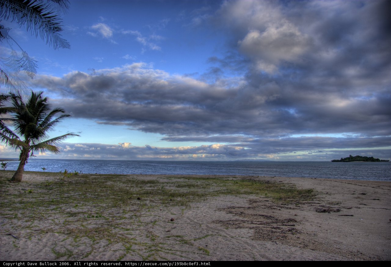 Solitary Palm Tree on Cloudy Beach