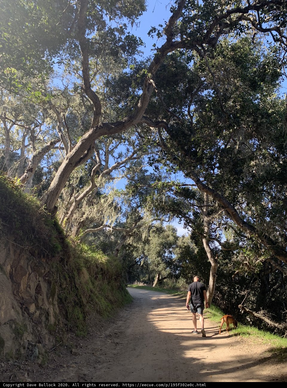 A Peaceful Stroll in Nature