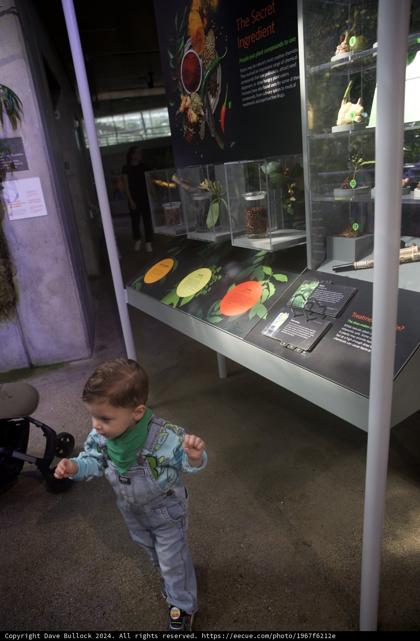 A Day of Discovery at the Museum