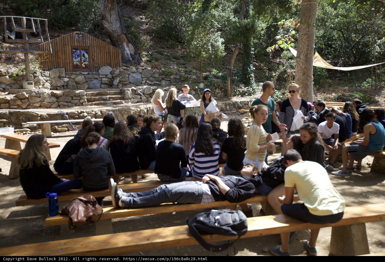Group Gathering on Wooden Bench