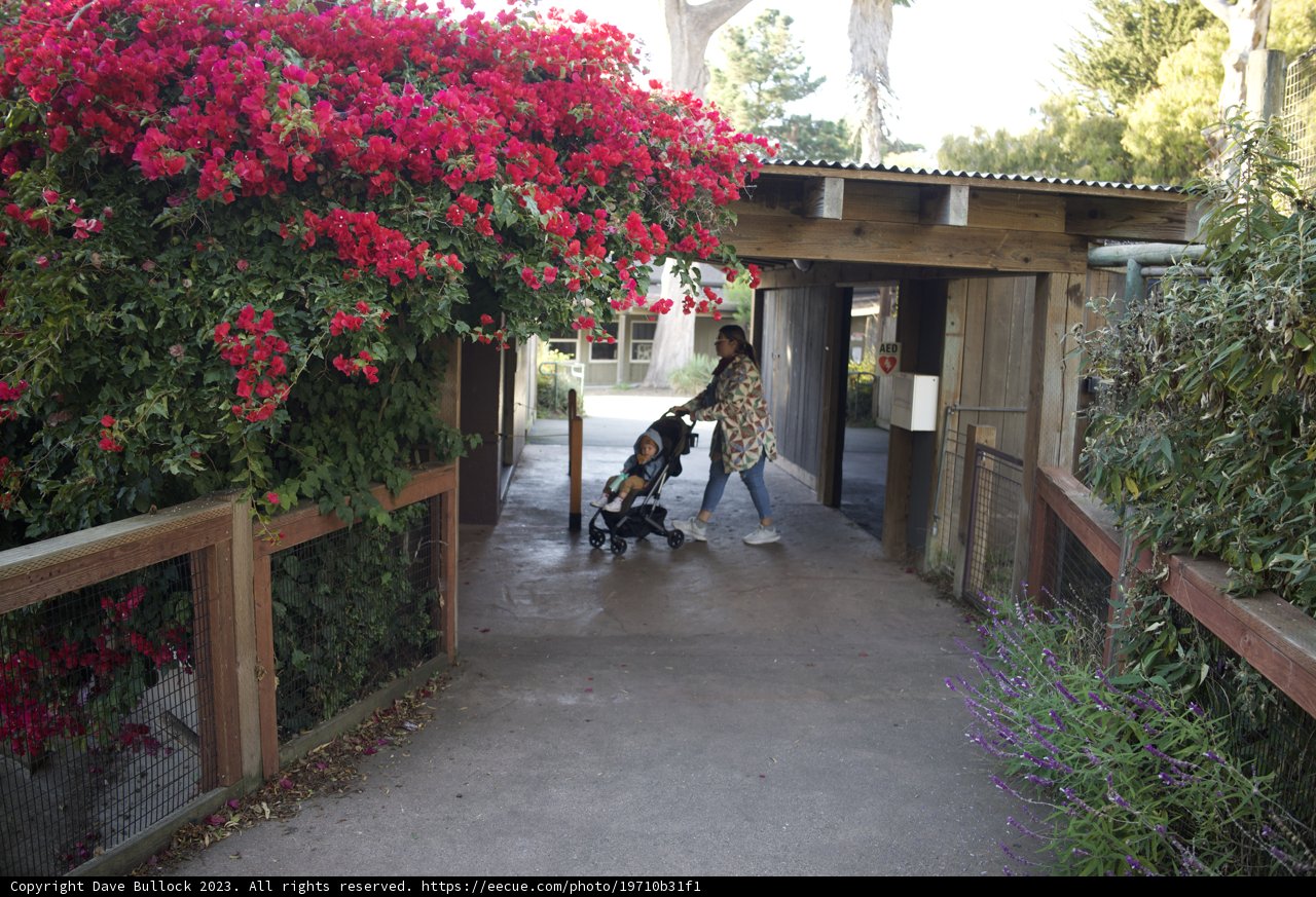 Stroll in the Urban Eden