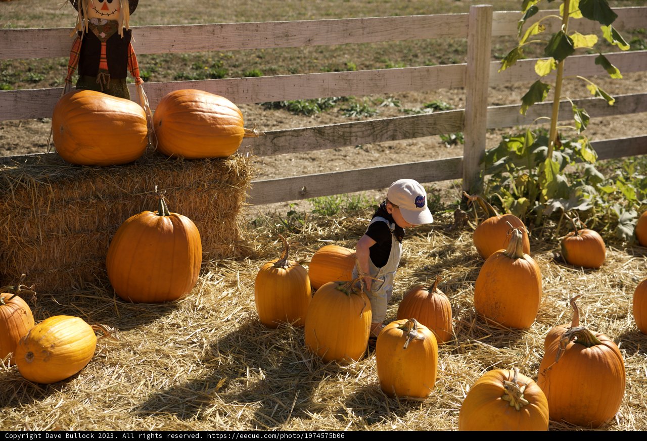 Rustic Harvest Moments