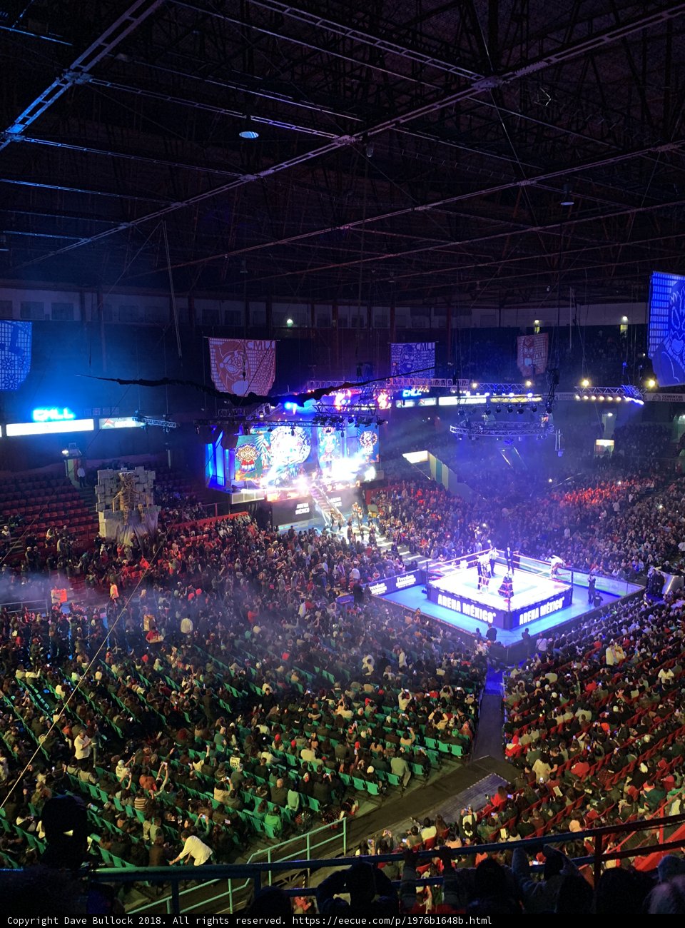 Rocking the Arena