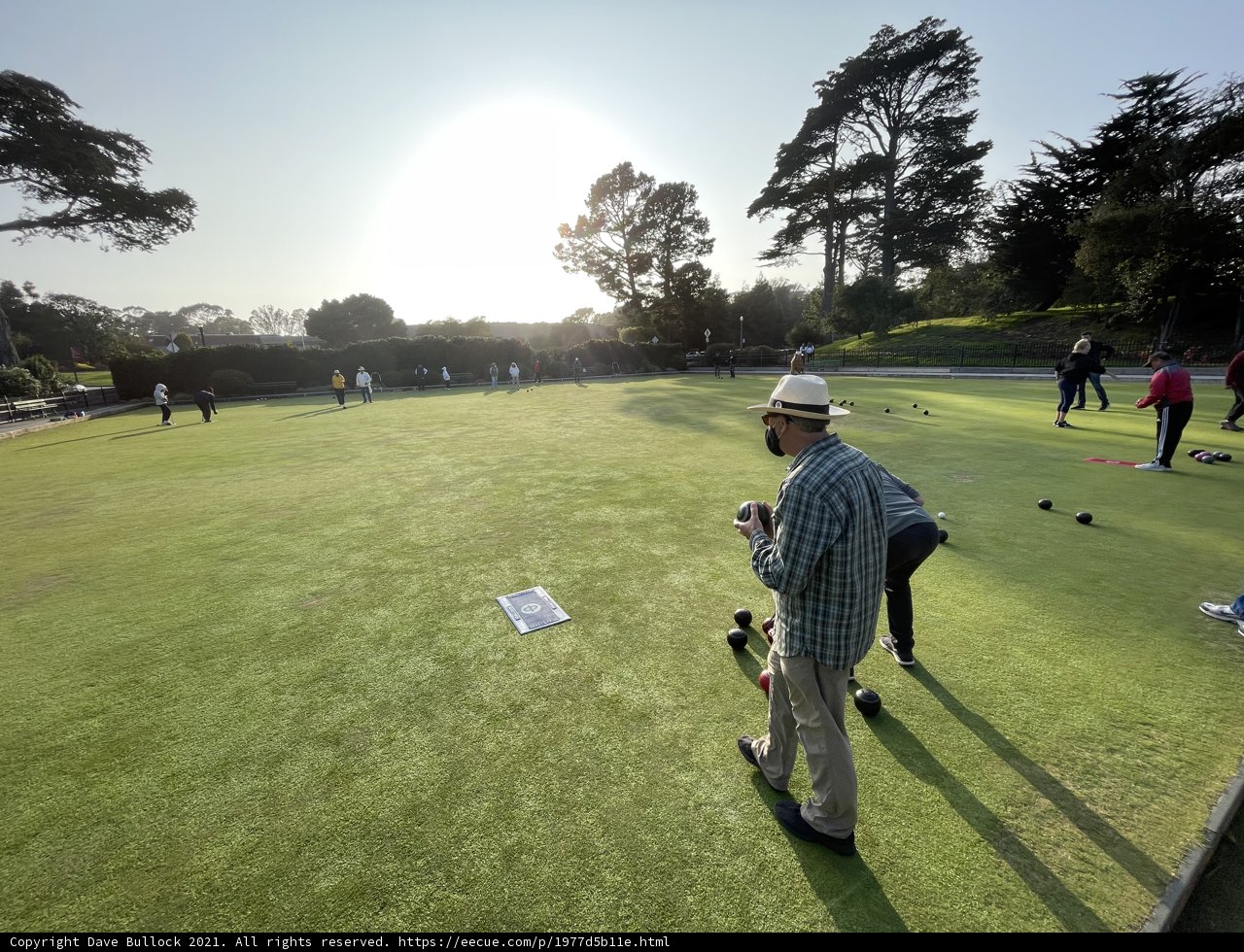 A Game of Lawn Bowls in Golden Gate Park