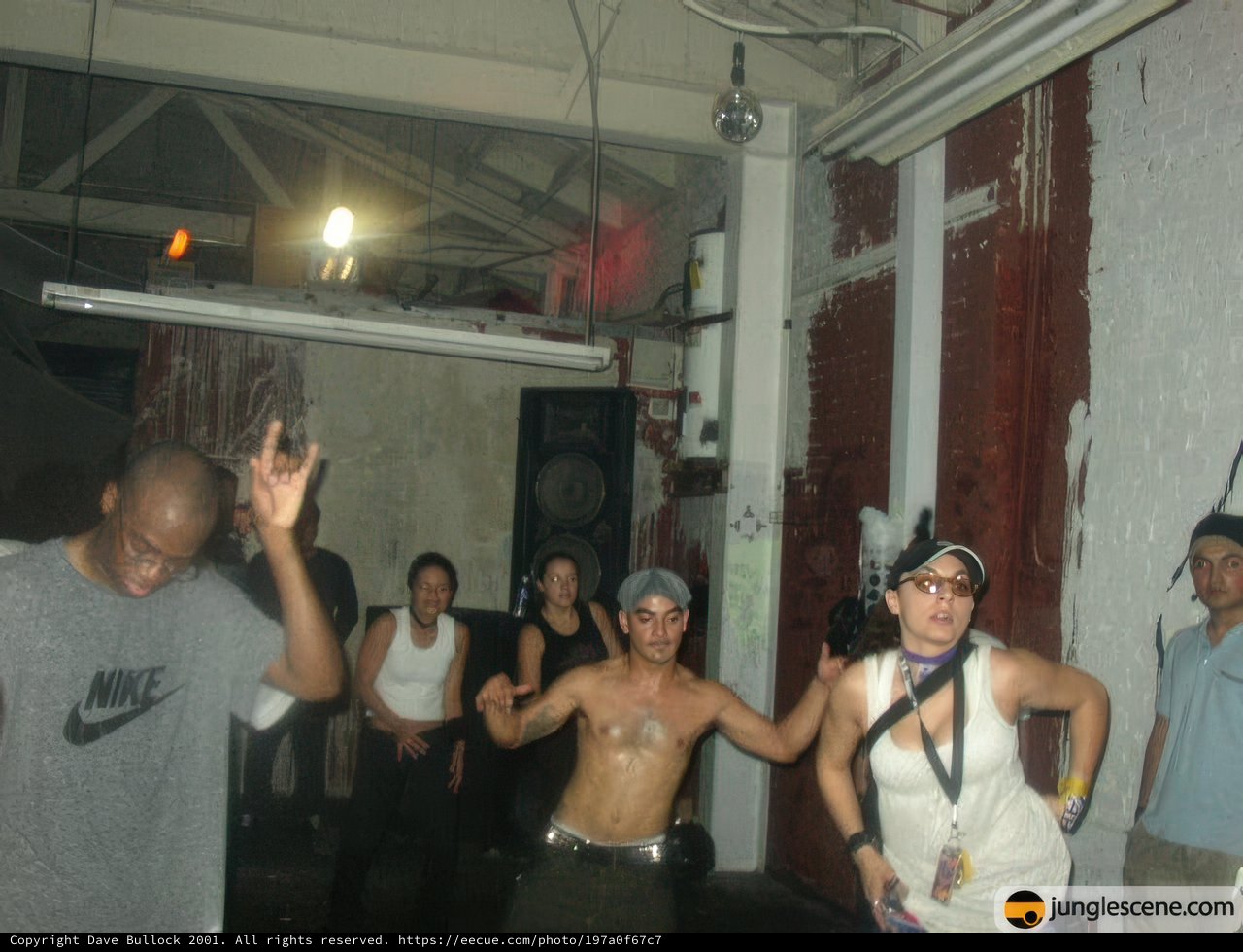 Party-goers dance the night away