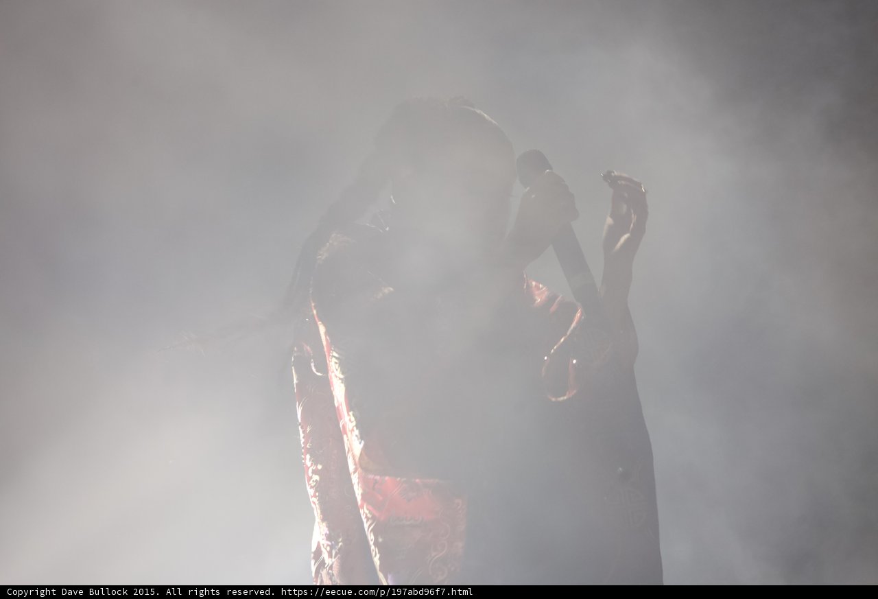 FKA twigs Silhouette Profile Singing Braided Ponytail Red Brocade Kimono Gold Patterns Heavy Haze Dramatic