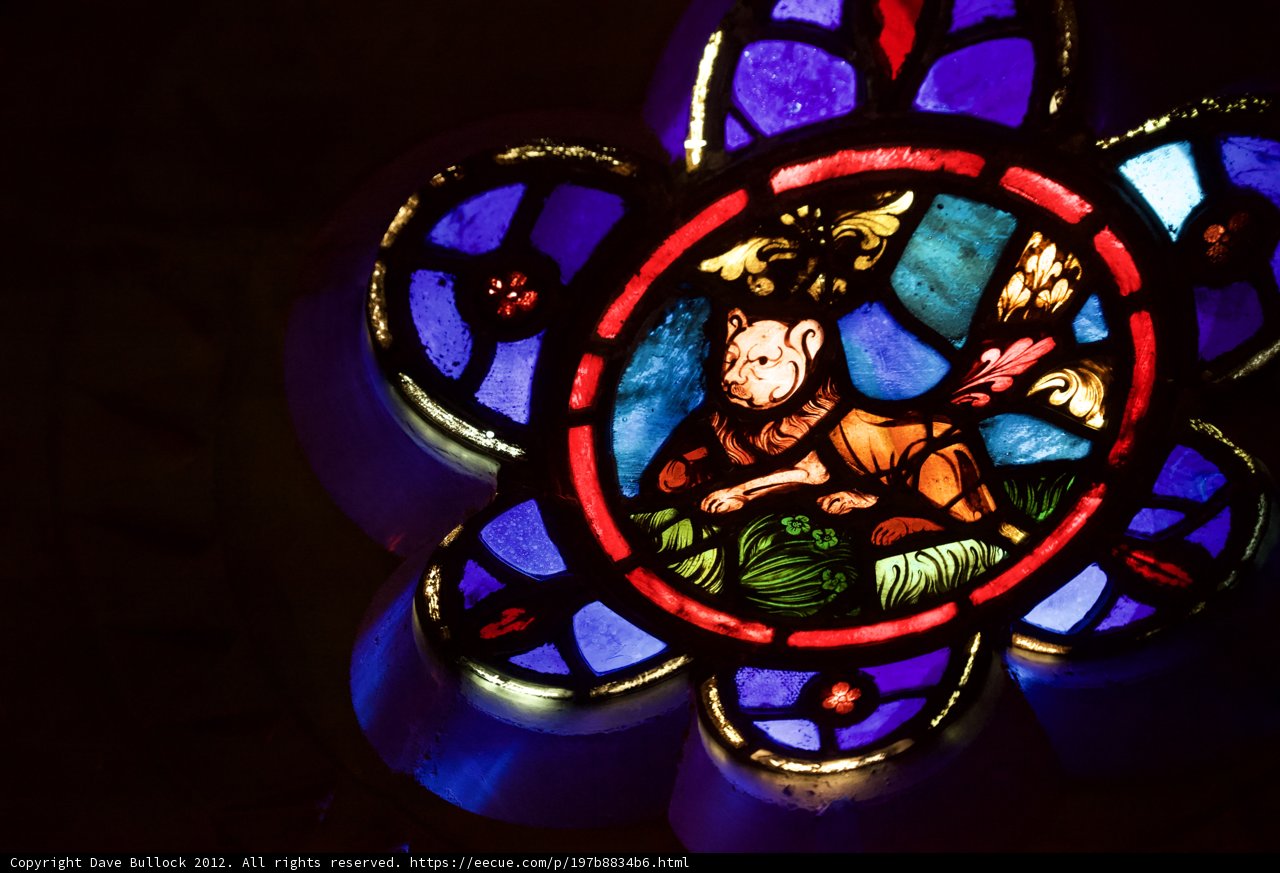 Man's Best Friend in Stained Glass