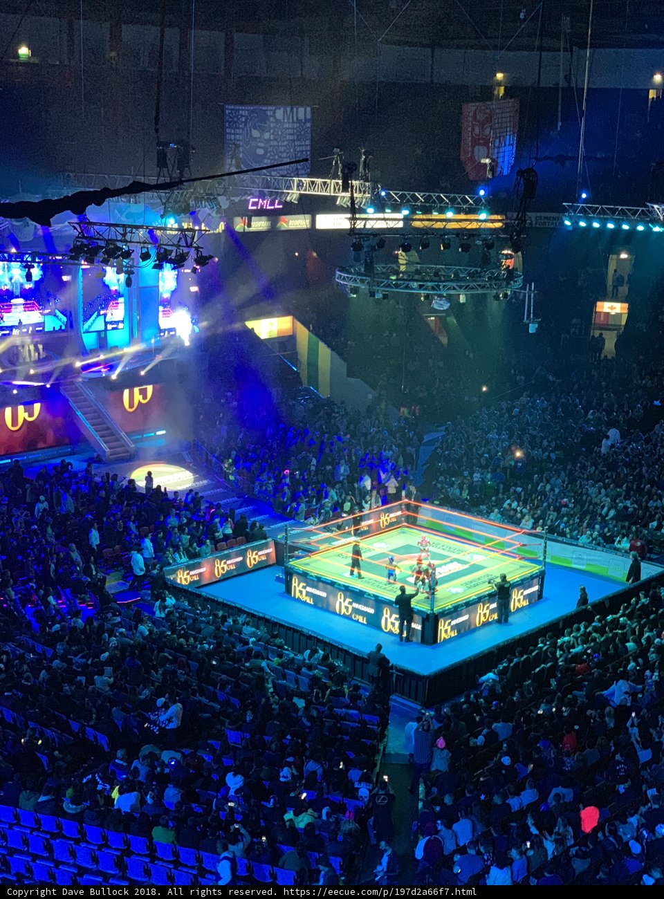 Knockout Night in the Arena