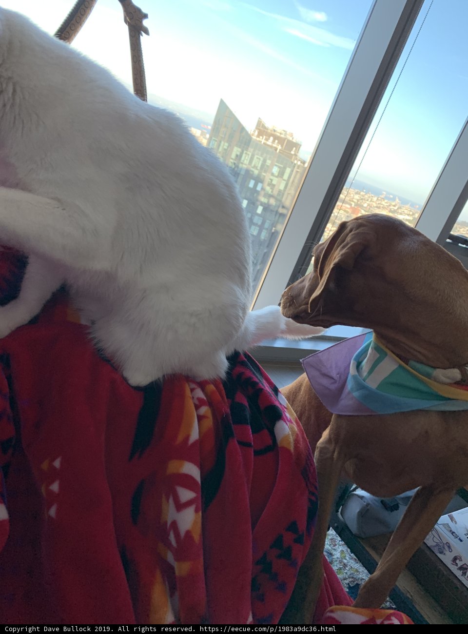 A Comfy Company