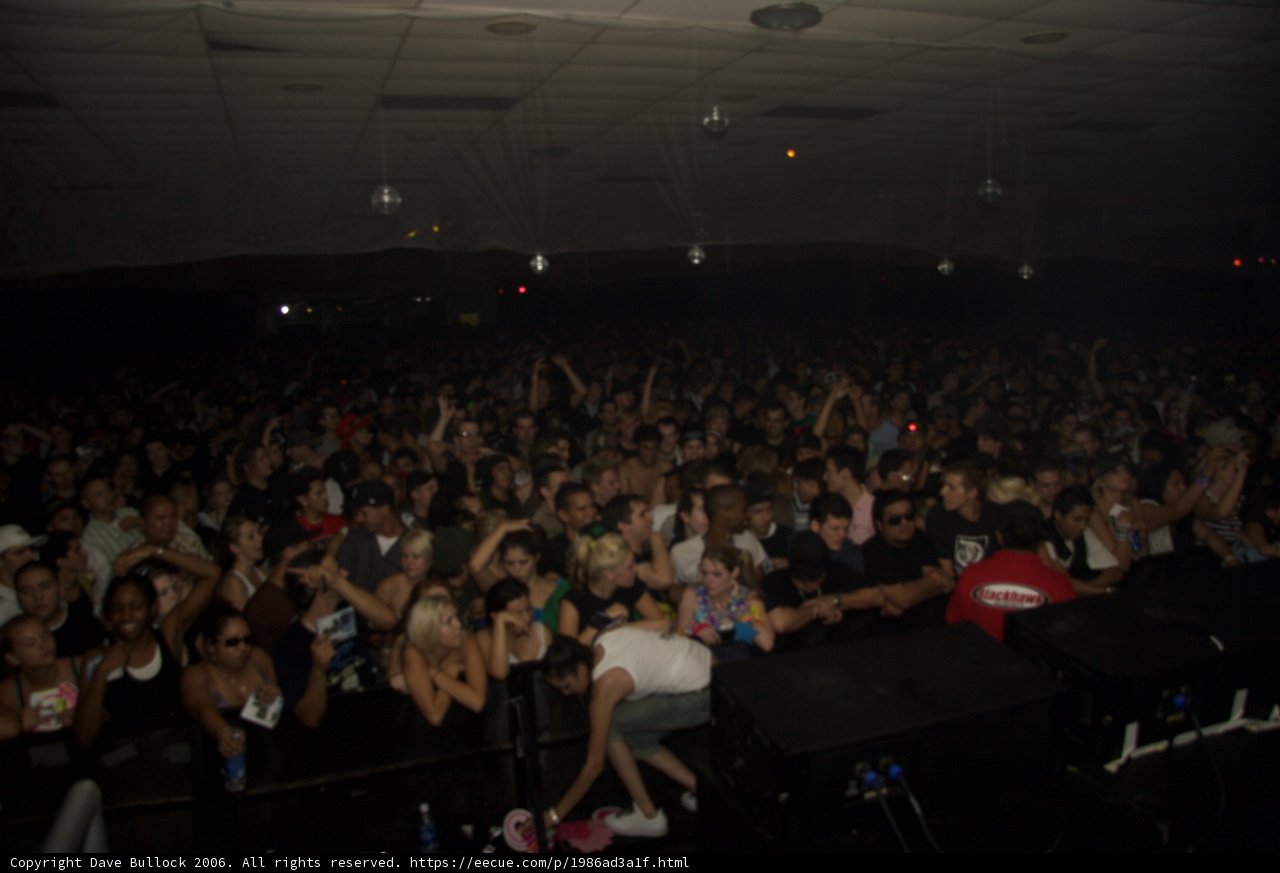 Massive Crowd at Night Club Concert