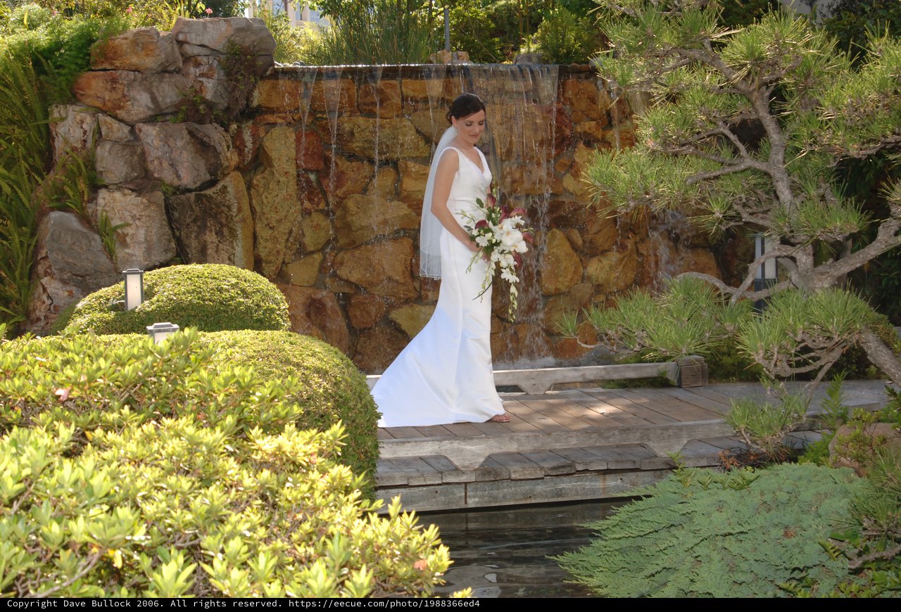 Bride Stands Elegant Before Stone Waterfall Garden