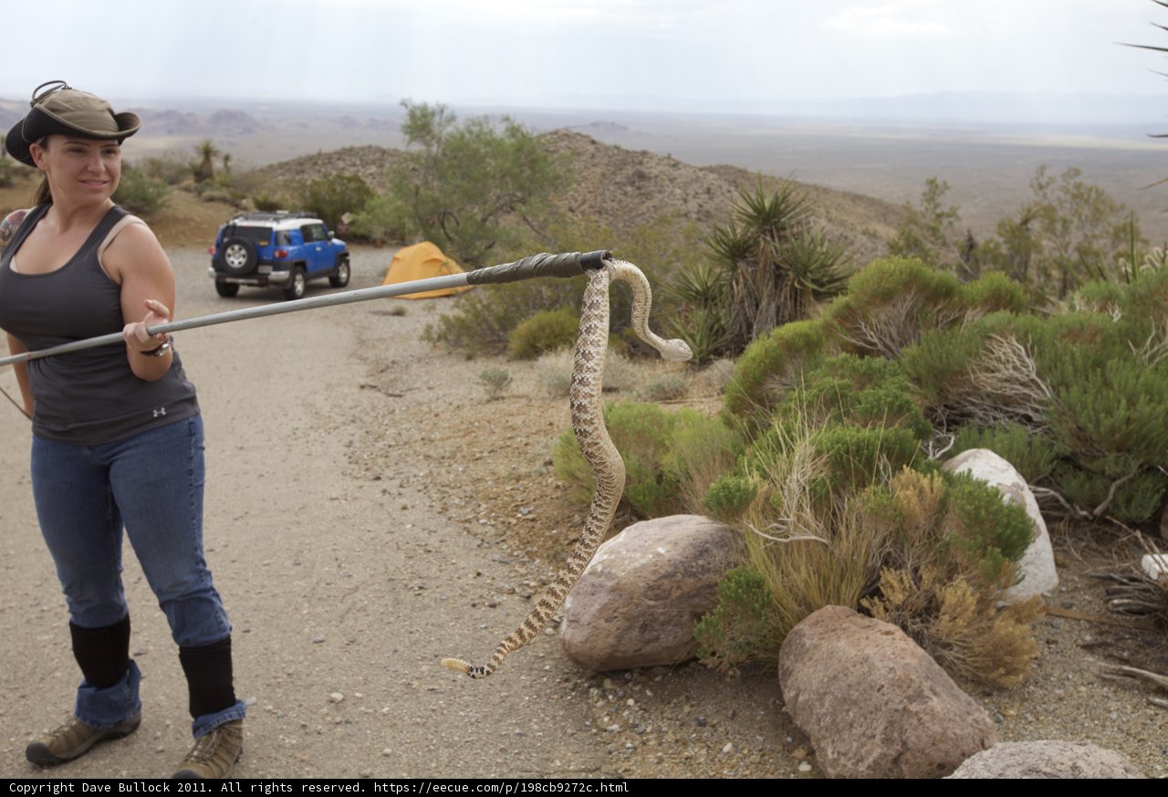 Woman with a slithering friend